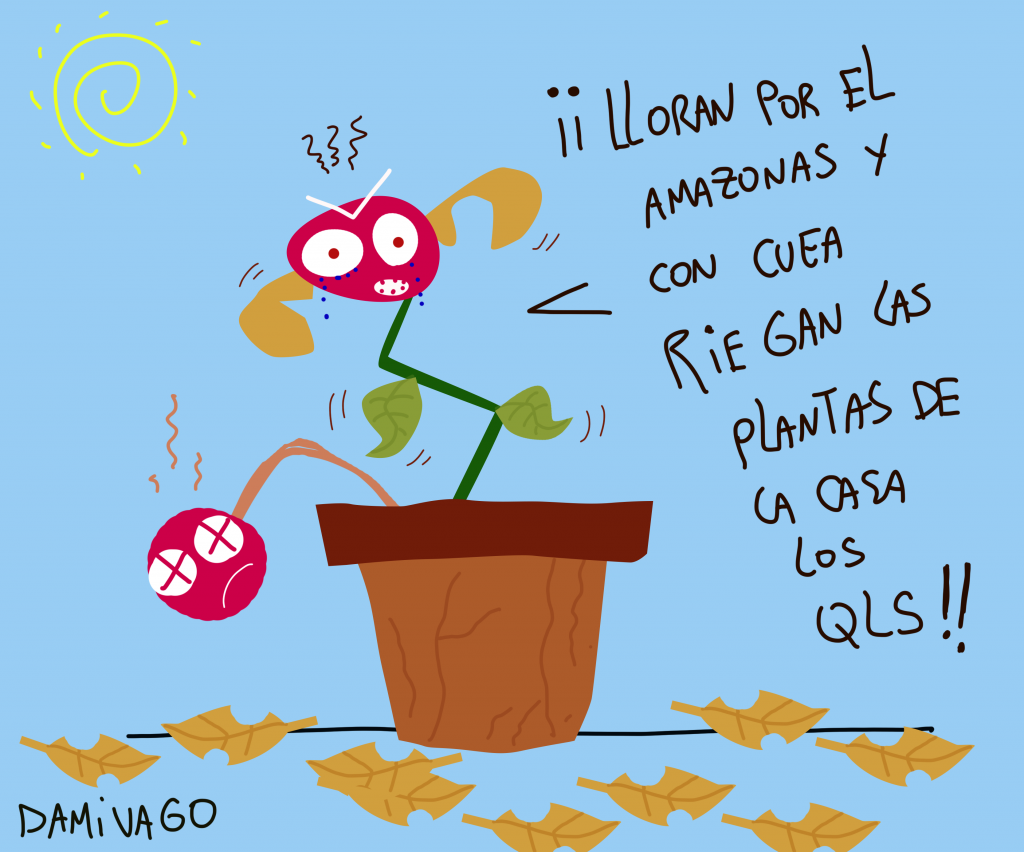 Damivago Nº 1300: Plantas