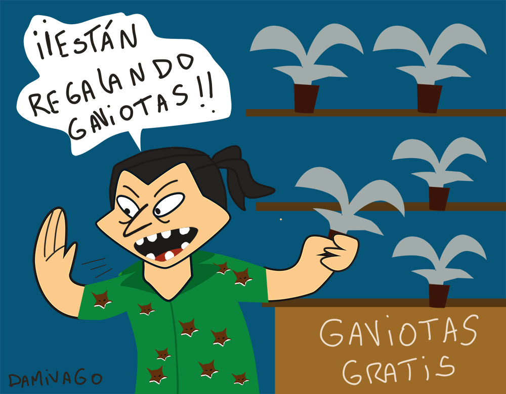 Damivago Nº 756: ¡Están Regalando Gaviotas!