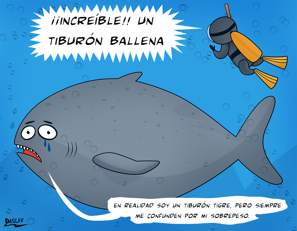 Damivago N° 15:  Tiburón «Ballena»