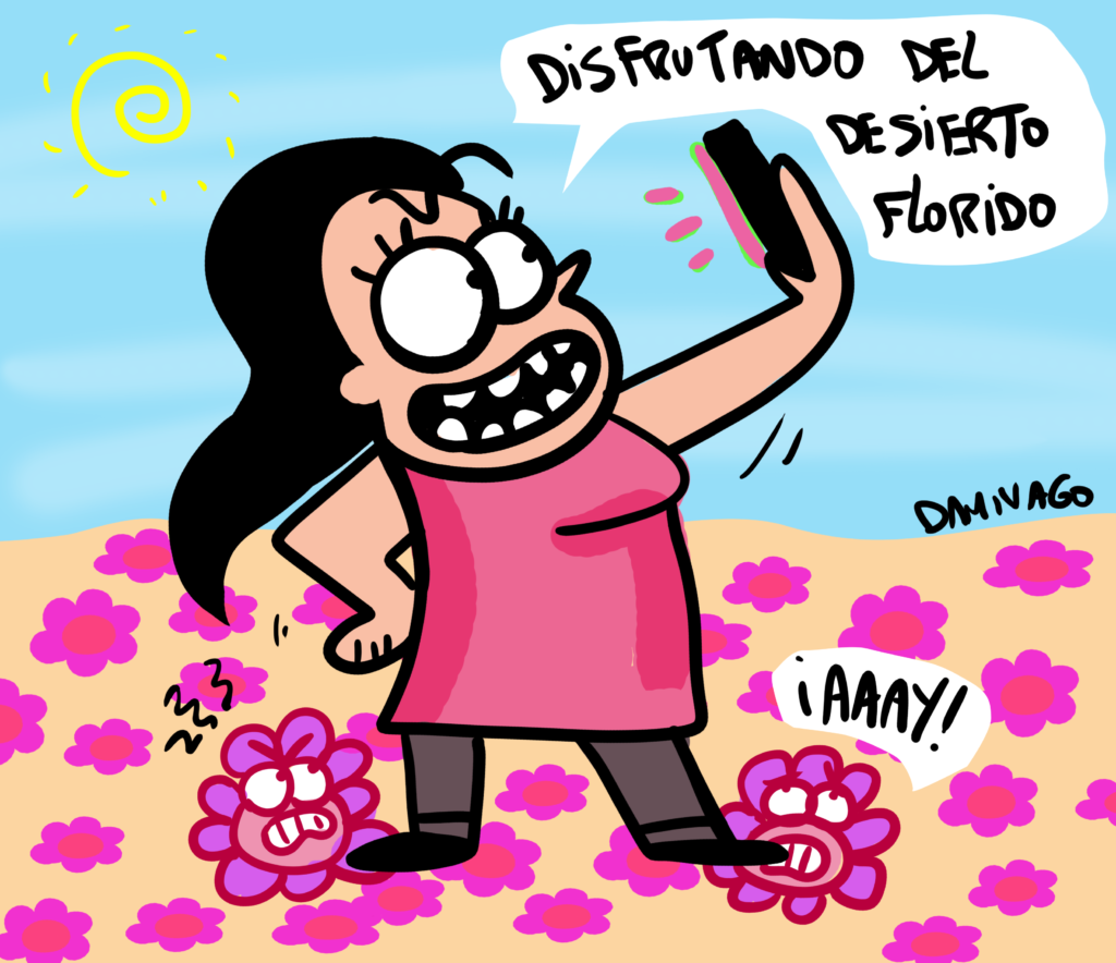 Damivago Nº 3839: Desierto Florido