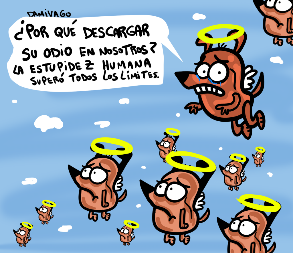 Damivago Nº 3863: Perritos al Cielo ( Incendio Refugio en Calama)