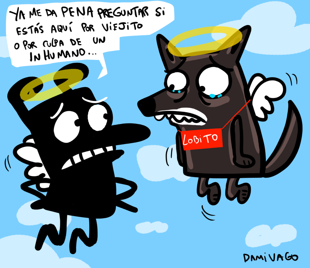 Damivago Nº 3880: Caso Lobito