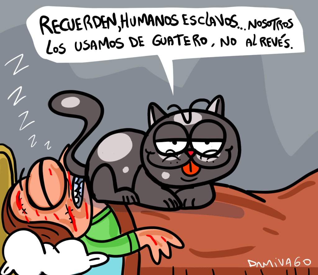 Damivago Nº 3890: Día Internacional del Gato 2024