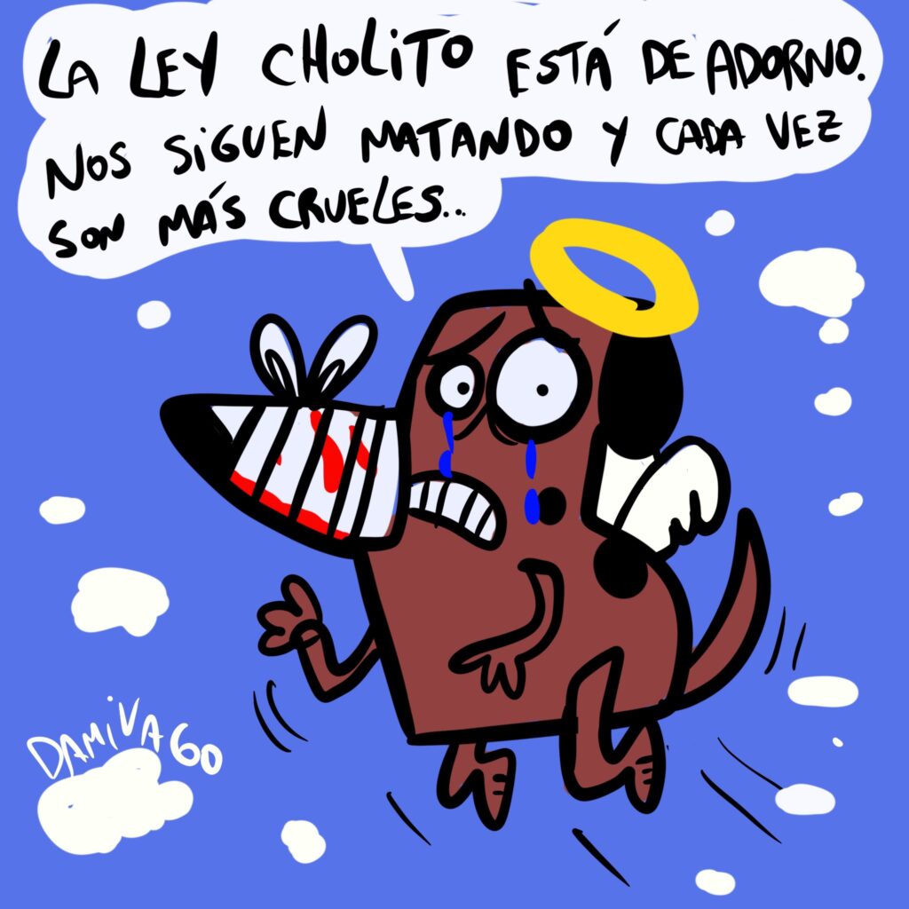Damivago Nº 4039: Nuevo Maltrato Animal