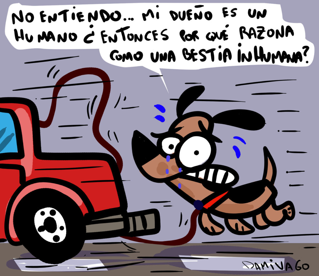 Damivago Nº 4045:  Caso de maltrato animal Nº 334543545