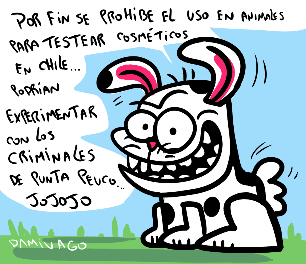 Damivago Nº 4074: Cosméticos