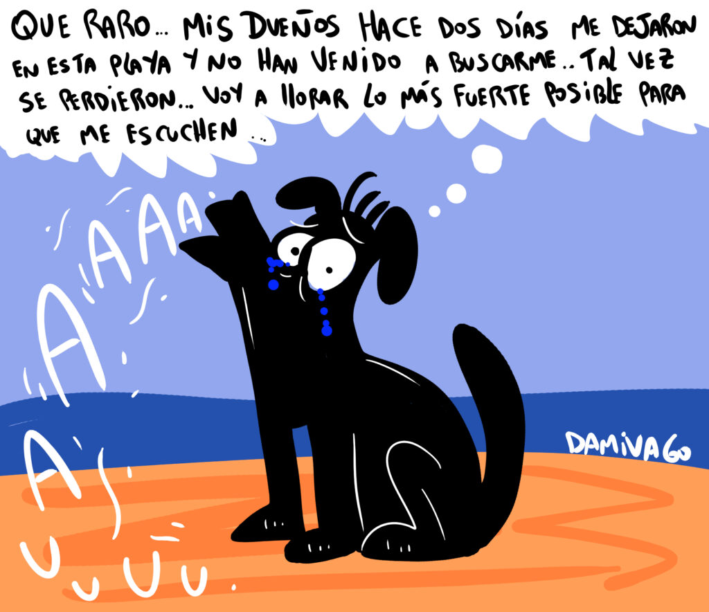 Damivago Nº 4105: Nuevo abandono animal