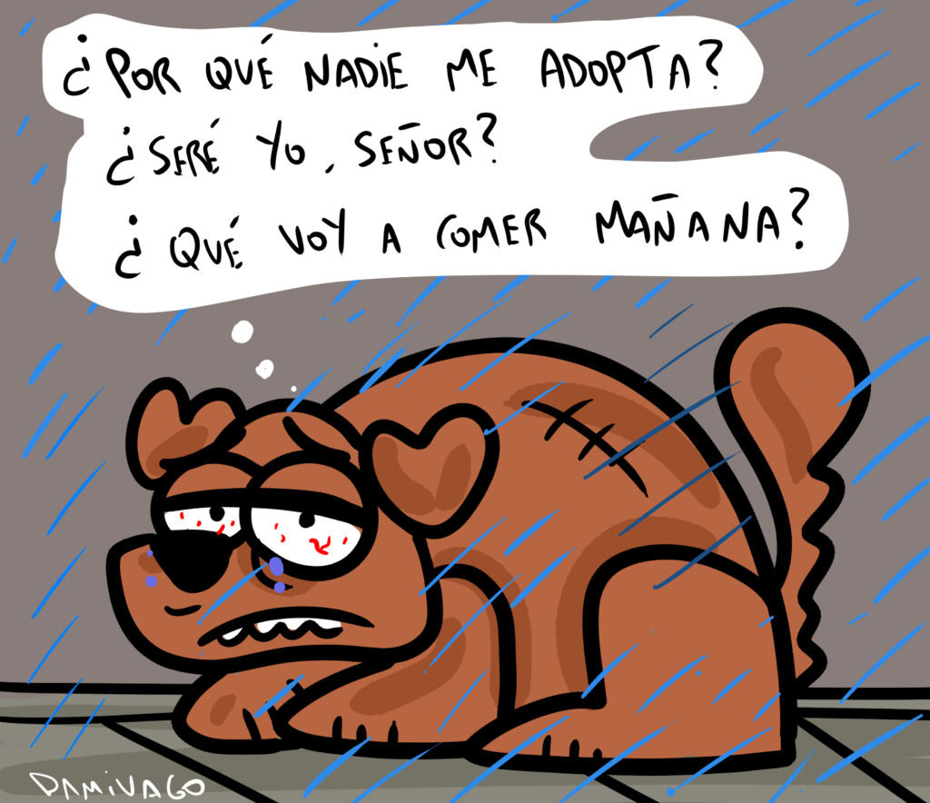 Damivago Nº 4085: Los perros se desvelan pensando en sus problemas