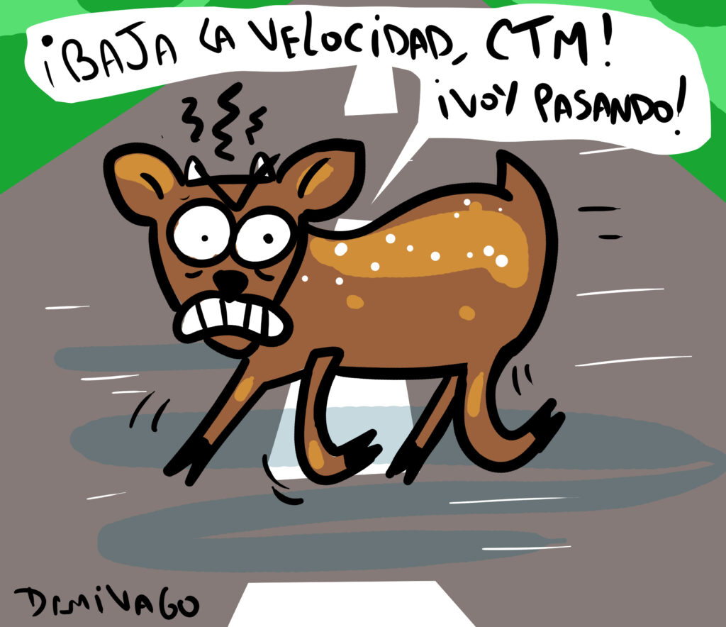 Damivago Nº 4084: Pudúes