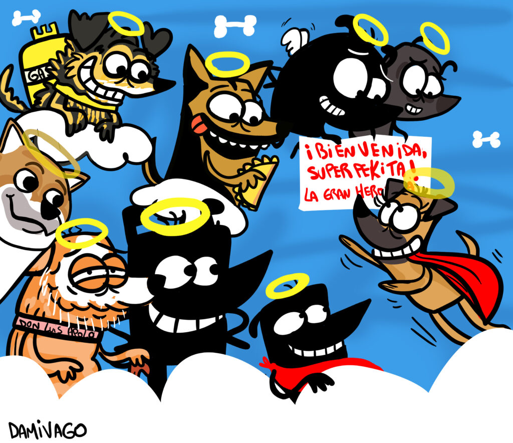 Nueva Perrita al cielo… :(