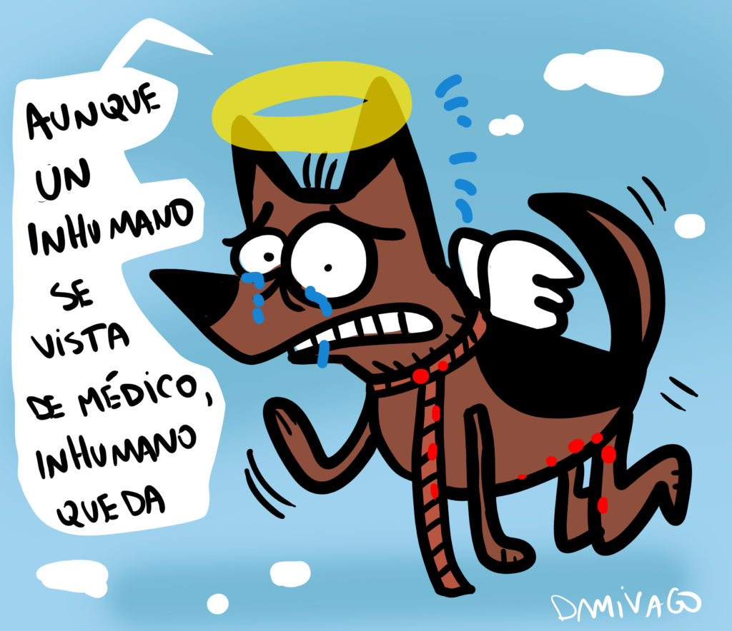 Nuevo caso de maltrato a perrito