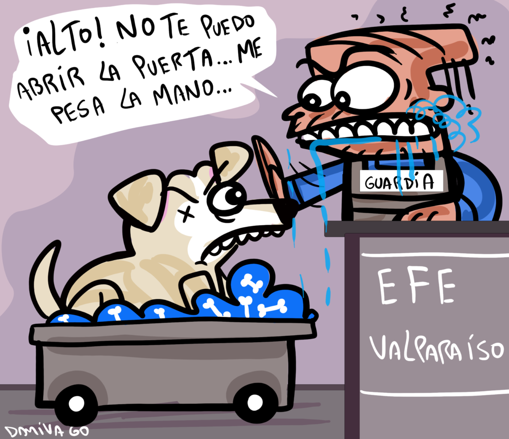 Perrito discriminado