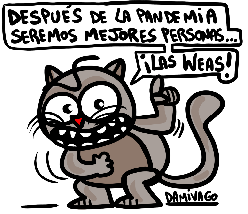 Saga frases GATO MEMIN