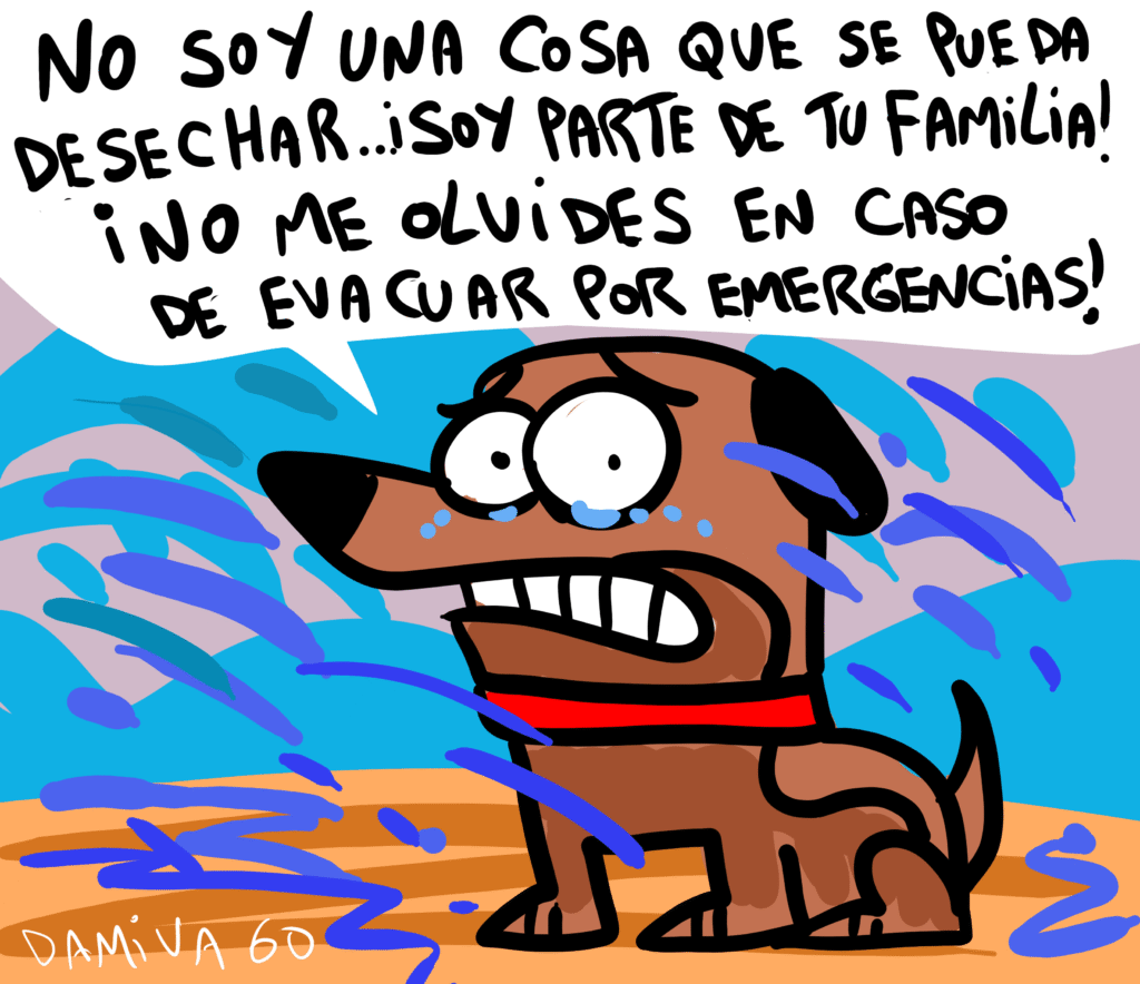 No olvidar a sus mascotas