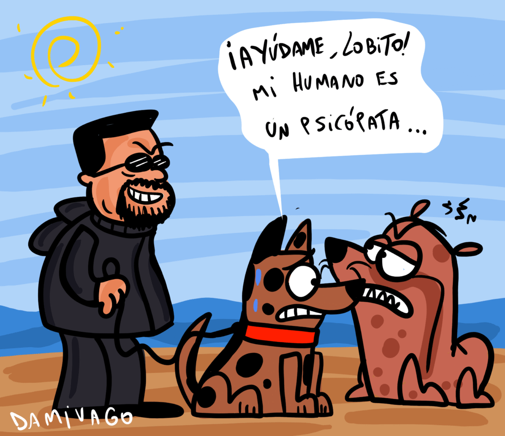 El caso de una persona paseando un perrito cerca de un lobo marino