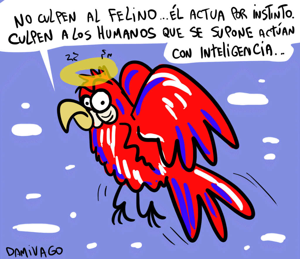 Humanos siendo Humanos: Caso Buinzoo