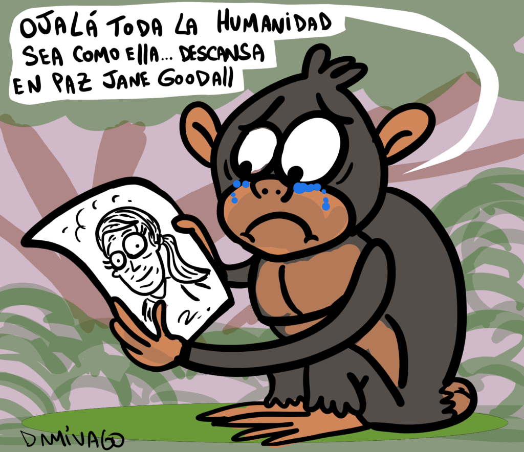 JUn pequeño homenaje a Jane Goodall …Que en paz descanse