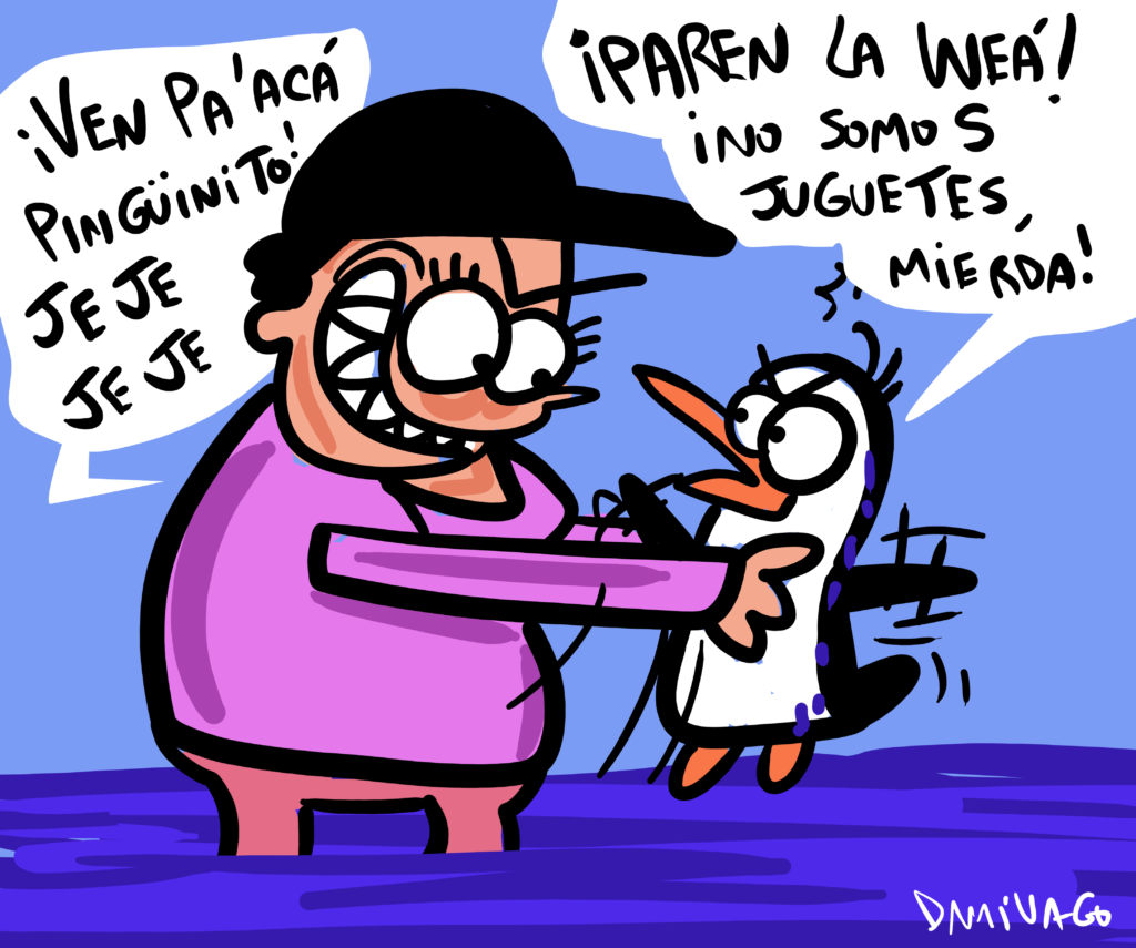 Humanos sin respeto.. ahora fue el turno de un pingüino