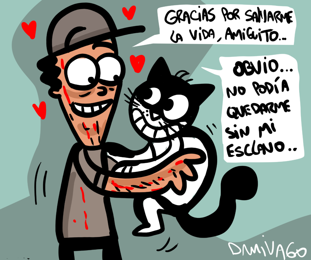 Julio , el gato heroico