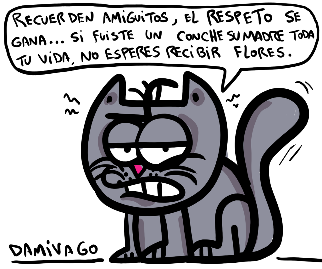 Consejos Gato Memin