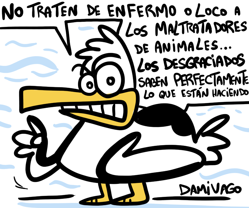 Gaviotas Indignadas