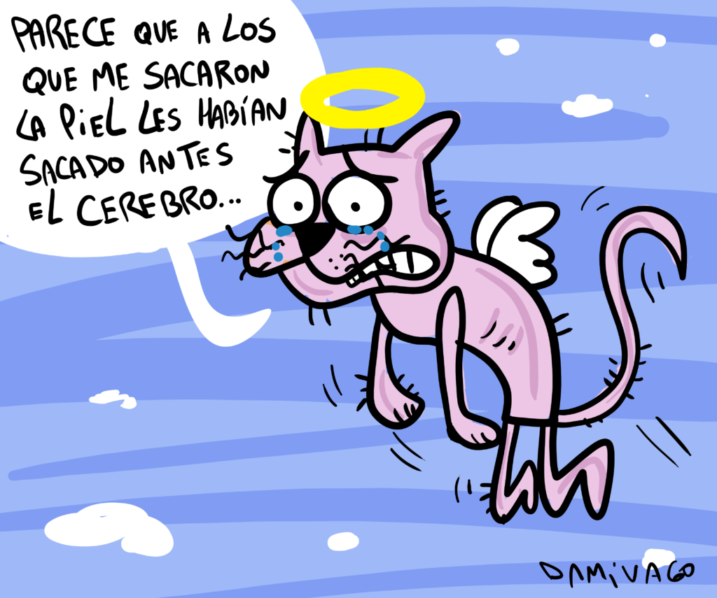 El caso de venta de pieles de Gatos