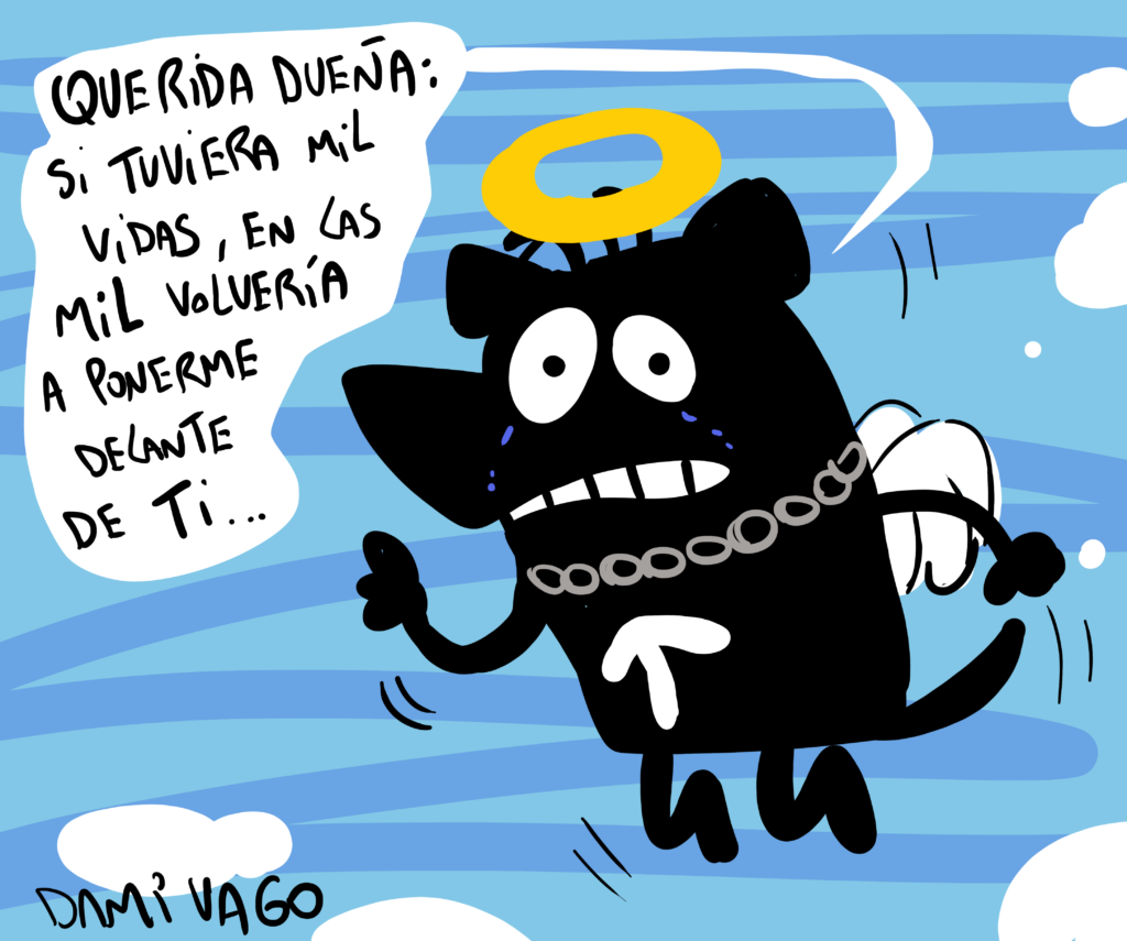 Un héroe de 4 patitas
