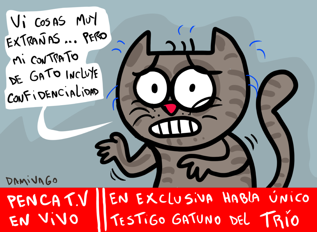 El Gato sabe cosas…
