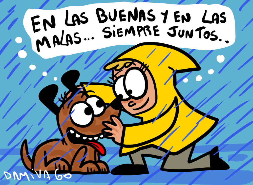 Día mundial del perro