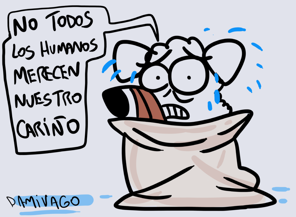 Nuevo caso de maltrato animal