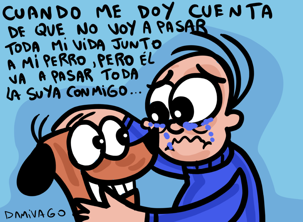 Vida de perritos…