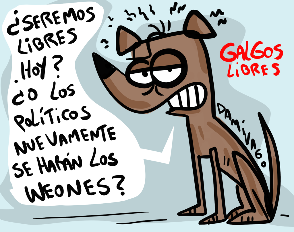 ¿Galgos Libres?