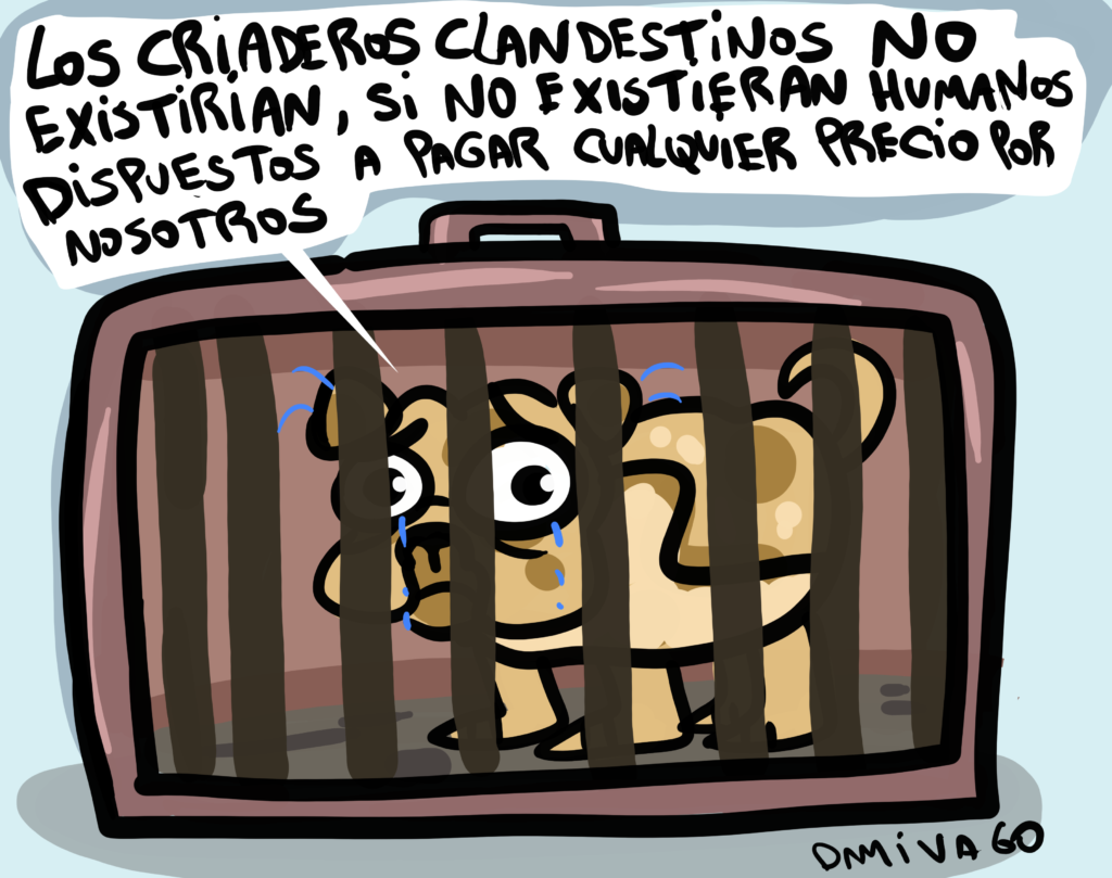 Criadero Clandestino