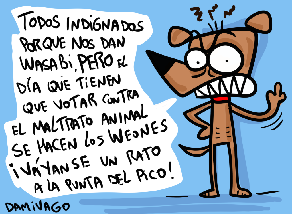 La decepción nuevamente