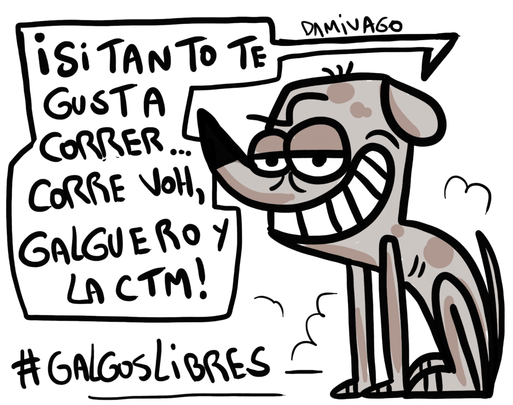Galgos libres