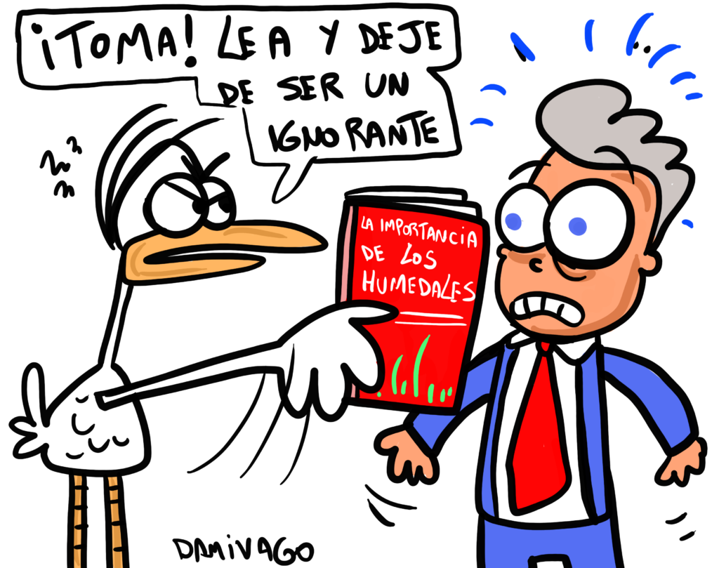 Día del Lector…