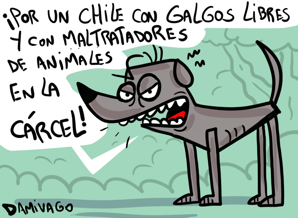 Galgos libres